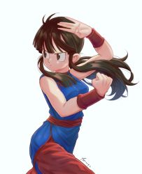 Rule 34 | 1girl, bare arms, black eyes, black hair, blue dress, blunt bangs, breasts, chi-chi (dragon ball), china dress, chinese clothes, clenched hand, closed mouth, cowboy shot, dragon ball, dragon ball (classic), dress, facing viewer, fighting stance, floating hair, hands up, high collar, highres, legs apart, looking to the side, lychee (artist), medium breasts, obi, pants, ponytail, red pants, red sash, red wristband, sash, serious, side slit, sidelocks, signature, simple background, sleeveless, sleeveless dress, solo, v-shaped eyebrows, white background, wristband