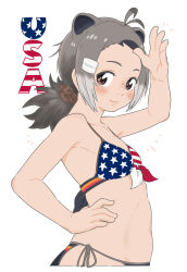 Rule 34 | 10s, 1girl, absurdres, american beaver (kemono friends), american flag, american flag bikini, american flag print, animal ears, antenna hair, appleq, arched back, arm up, armpits, bad id, bad pixiv id, bare arms, bare shoulders, beaver ears, beaver tail, bikini, black hair, blush, breasts, brown eyes, closed mouth, collarbone, commentary request, extra ears, flag print, from side, front-tie bikini top, front-tie top, grey hair, hair ornament, hair scrunchie, hairclip, hand on own hip, highres, kemono friends, light smile, long hair, looking at viewer, looking to the side, multicolored bikini, multicolored clothes, multicolored hair, navel, ponytail, print bikini, print swimsuit, scrunchie, side-tie bikini bottom, side-tie bottom, sidelocks, simple background, small breasts, solo, stomach, swimsuit, tail, upper body, white background