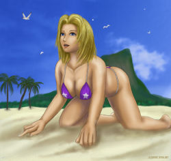 Rule 34 | 1girl, beach, bikini, day, dead or alive, dead or alive xtreme beach volleyball, outdoors, solo, swimsuit, tecmo, tina armstrong