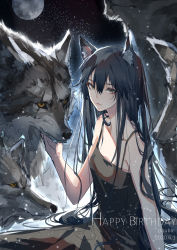 Rule 34 | 1girl, absurdres, alternate costume, animal ear fluff, animal ears, arknights, artist name, black camisole, black hair, breasts, camisole, closed mouth, clouble, commentary, dated, english commentary, expressionless, full moon, happy birthday, highres, lips, long hair, looking at viewer, mixed-language commentary, moon, night, night sky, outdoors, sky, sleeveless, small breasts, spaghetti strap, star (sky), starry sky, straight hair, tail, texas (arknights), wolf, wolf ears, wolf tail, yellow eyes