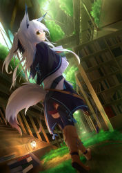 Rule 34 | 1girl, animal ears, blush, book, book stack, bookshelf, boots, capelet, carrying, dutch angle, fantasy, fox ears, fox tail, from behind, from below, hair ribbon, holding, holding book, hood, indoors, lantern, library, light rays, long hair, looking at viewer, looking back, looking down, moss, nagishiro mito, original, overgrown, plant, profile, purple hair, railing, ribbon, short ponytail, shorts, solo, stairs, sunbeam, sunlight, tail, tassel, thighhighs, walking, white hair, window, wooden floor, yellow eyes