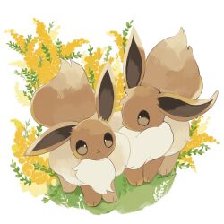 animal_focus brown_eyes brown_fur closed_mouth creatures_(company) eevee flower full_body game_freak gen_1_pokemon grass highres merino_(merino_9999) nintendo no_humans pokemon pokemon_(creature) simple_background standing white_background yellow_flower