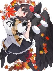 1girl armband autumn_leaves bird_wings black_hair black_ribbon black_skirt black_thighhighs black_wings camera collared_shirt commentary frilled_skirt frills geta gomashiopappa_k hat hauchiwa highres leaf_print pointy_ears pom_pom_(clothes) red_eyes red_footwear ribbon shameimaru_aya shirt simple_background skirt solo tengu-geta thighhighs tokin_hat touhou twitter_username white_background white_shirt wings