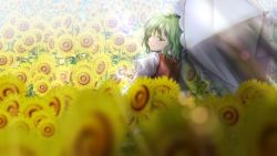 Rule 34 | 1girl, blurry, blurry foreground, bokeh, commentary request, depth of field, flower, garden of the sun, green hair, holding, holding umbrella, juliet sleeves, kazami yuuka, light rays, long sleeves, looking at viewer, looking back, okumi kyuuki, plaid, plaid vest, puffy sleeves, red eyes, shirt, short hair, smile, solo, standing, sunbeam, sunflower, sunlight, touhou, umbrella, vest, white shirt