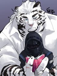 Rule 34 | 1boy, 1other, animal ears, arknights, bara, blush, chin rest, doctor (arknights), formal, furry, furry male, head on head, head rest, highres, large hands, long hair, male focus, mountain (arknights), mountain (book reader) (arknights), muscular, muscular male, official alternate costume, open clothes, open shirt, ponytail, scar, scar across eye, shirako (kirupi), shirt, size difference, suit, thick eyebrows, tiger boy, tiger ears, white fur, white hair, white shirt, white suit
