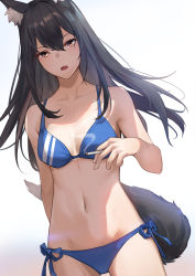 Rule 34 | 1girl, absurdres, animal ear fluff, animal ears, arknights, bikini, black hair, blue bikini, breasts, breasts apart, brown eyes, cigarette, collar, collarbone, commentary, cowboy shot, highres, holding, holding cigarette, ina (inadiary), long hair, looking at viewer, navel, open mouth, side-tie bikini bottom, small breasts, solo, stomach, swimsuit, tail, texas (arknights), very long hair, white background, wolf ears, wolf girl, wolf tail