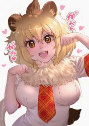 Rule 34 | 1girl, :d, animal ear fluff, animal ears, blonde hair, blush, breasts, brown eyes, commentary request, fur collar, hair between eyes, hands up, head tilt, heart, highres, kemono friends, large breasts, lion (kemono friends), lion ears, lion tail, looking at viewer, necktie, open mouth, paw pose, plaid necktie, plaid neckwear, plaid trim, shirt, short hair, short sleeves, simple background, smile, solo, sparkle, tail, takami masahiro, teeth, translated, upper body, upper teeth only, white background, white shirt
