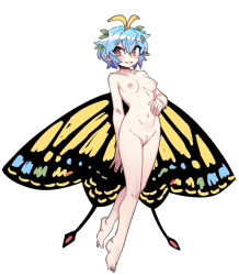 Rule 34 | 1girl, antennae, aqua hair, blush, breasts, butterfly wings, cleft of venus, collarbone, completely nude, eternity larva, fairy, female pubic hair, full body, hair between eyes, insect wings, leaf, leaf on head, navel, nipples, nude, nyong nyong, open mouth, orange eyes, pubic hair, pussy, short hair, simple background, small breasts, smile, solo, touhou, white background, wings