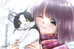 Rule 34 | 1girl, animal, blue eyes, blurry, blurry background, cat, commentary request, day, depth of field, head tilt, holding, holding animal, holding cat, looking at viewer, one eye closed, original, outdoors, plaid, plaid scarf, purple hair, scarf, short hair, signature, smile, solo, soragane (banisinngurei), upper body, winter