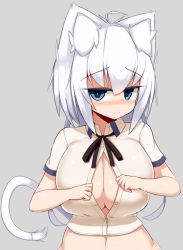 Rule 34 | 1girl, 3:, ahoge, animal ears, belly, blue eyes, blush, breasts, bursting breasts, cat ears, cat girl, cat tail, center opening, cleavage, collared shirt, crop top, curvy, felt whitesnow, female focus, highres, huge breasts, jitome, large breasts, looking at viewer, navel, necktie, original, sawati, shirt, short hair with long locks, solo, tail, upper body, white hair, wide hips