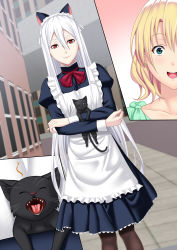 Rule 34 | 2girls, animal, animal ears, apron, black cat, blonde hair, blue eyes, blush, breasts, cat, cat ears, commentary request, dress, fake animal ears, frills, hair between eyes, highres, long hair, long sleeves, looking at viewer, maid, maid headdress, multiple girls, open mouth, original, puffy sleeves, red eyes, short hair, silver hair, smile, standing, surprised, thighhighs, waist apron, zaregoto tsukai no deshi