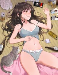 Rule 34 | 1girl, absurdres, animal, artist name, bare arms, bare shoulders, beer bottle, beer can, blush, breasts, broken photo, brown hair, camisole, can, cat, cellphone, chowbie, closed mouth, commentary, crying, crying with eyes open, drink can, drunk, english commentary, frilled panties, frills, frown, grey panties, hands on own stomach, highres, indoors, long hair, lying, navel, nose blush, on back, on floor, orange eyes, original, panties, phone, photo (object), small breasts, smartphone, stomach, strap slip, tatami, tears, thighs, underwear, underwear only