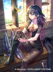 Rule 34 | 1girl, bird, black shirt, blouse, blue eyes, blue hair, blue sky, boots, brown pantyhose, byleth (female) (fire emblem), byleth (fire emblem), closed mouth, company name, copyright name, dagger, day, dressing, fire emblem, fire emblem: three houses, fire emblem cipher, hair between eyes, high heel boots, high heels, knife, lace, lace-trimmed legwear, lace trim, medium hair, nintendo, nishimura eri, official art, pantyhose, pantyhose under shorts, sheath, sheathed, shirt, shorts, sitting, sky, smile, solo, weapon, window
