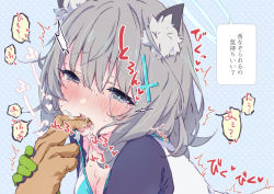 Rule 34 | 1boy, 1girl, animal ear fluff, animal ears, blue archive, blue background, blue eyes, blush, breasts, cross hair ornament, drooling, finger in another&#039;s mouth, gloves, grey hair, hair between eyes, hair ornament, halo, heart, heart-shaped pupils, hetero, highres, looking at viewer, medium breasts, open mouth, sakenomi akane, saliva, shiroko (blue archive), short hair, solo focus, sweat, symbol-shaped pupils, tears, tongue, tongue out, translation request, trembling, upper body