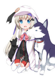 Rule 34 | 1girl, :d, belka, blue eyes, blush, cape, child, dog, hat, highres, kneeling, little busters!, long hair, looking at viewer, noumi kudryavka, open mouth, shouji ayumu, silver hair, simple background, smile, solo, strelka, thighhighs, uncensored, visual art&#039;s, white background, white thighhighs
