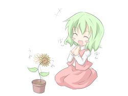 Rule 34 | 1girl, ^ ^, blush stickers, chibi, clapping, closed eyes, dancing flower, dress, female focus, flower, flower pot, green hair, kazami yuuka, open mouth, plant, red dress, shino megumi, simple background, sitting, skirt, smile, solo, sunflower, touhou, white background