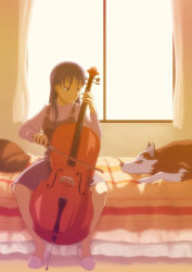 Rule 34 | 1girl, animal, ardnades, bed, blue eyes, blue hair, cello, dog, indoors, instrument, matching hair/eyes, original, sitting, slippers, solo, sunset