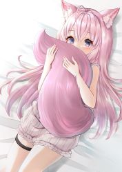 Rule 34 | 1girl, animal ear fluff, animal ears, antenna hair, bare arms, bed sheet, blush, hair between eyes, hakui koyori, highres, hololive, hugging own tail, hugging tail, long hair, looking at viewer, lying, memeri, nail polish, on back, on bed, pink hair, pink nails, purple eyes, shorts, solo, striped clothes, striped shorts, tail, thigh strap, vertical-striped clothes, vertical-striped shorts, very long hair, virtual youtuber, white shorts, wolf ears, wolf tail