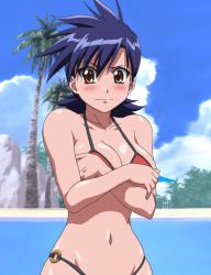 Rule 34 | 00s, 1girl, akahori gedou hour rabuge, bare shoulders, bikini, blue hair, blush, breasts, brown eyes, cleavage, cloud, covering privates, covering breasts, embarrassed, female focus, large breasts, looking at viewer, navel, palm tree, red bikini, sashima kaoruko, screencap, solo, standing, stitched, swimsuit, third-party edit, tree