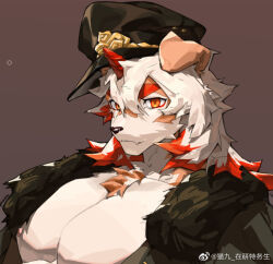 Rule 34 | 1boy, animal ears, arknights, bara, bare pectorals, brown fur, dog boy, dog ears, expressionless, furry, furry male, hat, horns, huge eyebrows, hung (arknights), hung (just a driver) (arknights), large pectorals, looking at viewer, male focus, medium hair, mjj mianbao, multicolored hair, official alternate costume, open clothes, open shirt, orange eyes, orange hair, peaked cap, pectorals, single horn, solo, streaked hair, two-tone fur, unfinished, upper body, white fur