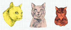 Rule 34 | animal, animal focus, cat, closed mouth, commentary request, cropped torso, crossed arms, dotted background, highres, looking at viewer, multiple views, no humans, open mouth, original, uramen, white background