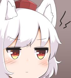 Rule 34 | 1girl, animal ear fluff, animal ears, blush, brown background, commentary request, hat, highres, inubashiri momiji, jitome, portrait, red eyes, red hat, saisoku no yukkuri, short hair, simple background, solo, tokin hat, touhou, white hair, wolf ears