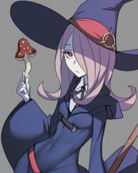Rule 34 | 10s, 1girl, ban! (bansankan), breasts, covered navel, grey background, hair over one eye, hat, highres, hood, little witch academia, long hair, looking at viewer, mushroom, pale skin, purple hair, red eyes, robe, simple background, small breasts, solo, sucy manbavaran, witch, witch hat