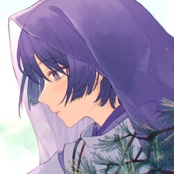 Rule 34 | 1boy, absurdres, bishounen, branch, cloak, closed mouth, day, eyeshadow, from side, genshin impact, highres, japanese clothes, kariginu, looking down, makeup, male focus, official alternate costume, outdoors, portrait, profile, purple eyes, purple hair, purple veil, red eyeshadow, scaramouche (genshin impact), short hair, solo, veil, white cloak, yamabuki (yamabuki xxxxx)
