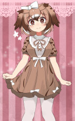 Rule 34 | 1girl, alternate costume, bow, brown dress, brown eyes, brown hair, commentary request, cowboy shot, dress, eurasian eagle owl (kemono friends), hair bow, head wings, highres, kemono friends, looking at viewer, multicolored hair, pantyhose, pink background, shimosazami, skirt hold, solo, striped, striped background, two-tone hair, white pantyhose, wings