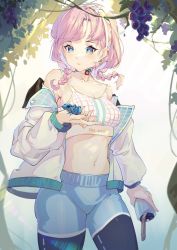 Rule 34 | 1girl, animal, arknights, bare shoulders, blue eyes, blue pants, blue poison (arknights), blue poison (shoal beat) (arknights), blue shorts, braid, breasts, choker, commentary, cowboy shot, crop top, earrings, frog, highres, holding, holding animal, jacket, jewelry, leggings, long hair, long sleeves, luomuzhen, medium breasts, midriff, navel, off shoulder, official alternate costume, open clothes, open jacket, pants, pink choker, pink hair, poison dart frog, short shorts, shorts, solo, spaghetti strap, sports bra, standing, stomach, thighs, twin braids, white jacket