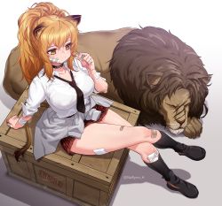 Rule 34 | 1girl, animal, animal ears, arknights, arm support, bandages, bandaid, bandaid on cheek, bandaid on face, black footwear, black socks, blonde hair, breasts, brown eyes, candy, clothes around waist, collar, collarbone, collared shirt, crate, crossed legs, dress shirt, food, from above, highres, holding, holding candy, holding food, holding lollipop, jacket, jacket around waist, kneehighs, large breasts, lion, lion ears, lollipop, long hair, miniskirt, narynn, necktie, plaid, plaid skirt, pleated skirt, ponytail, red skirt, shirt, shoes, siege (arknights), sitting, skirt, socks, solo, thighs, white shirt