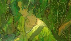 Rule 34 | 1boy, blouse, blue eyes, book, brown hair, chain, chain necklace, character request, collared shirt, copyright request, green background, green shirt, green theme, highres, holding, holding book, hypnosis mic, jewelry, leaf, leaf background, looking down, mole, mole under eye, mole under mouth, n uu nn, necklace, open mouth, plant, reading, shirt, short hair, solo, upper body, yamada jiro