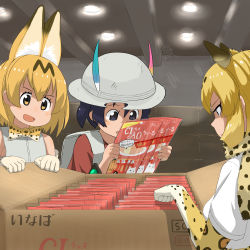 Rule 34 | 10s, animal ears, backpack, bag, blonde hair, bow, bowtie, box, bucket hat, cross-laced clothes, elbow gloves, fur collar, gloves, hat, hat feather, indoors, jaguar (kemono friends), jaguar ears, jaguar print, kaban (kemono friends), kemono friends, lamp, multicolored hair, multiple girls, open mouth, red shirt, serval (kemono friends), serval print, shirt, short hair, short sleeves, silk, sleeveless, sleeveless shirt, smile, spider web, translation request, warehouse