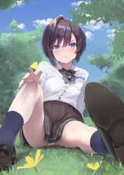 Rule 34 | 1girl, black hair, black skirt, black socks, blue eyes, blue sky, blush, bow, bowtie, breast pocket, brown bow, brown bowtie, brown footwear, brown skirt, bug, butterfly, butterfly on hand, closed mouth, cloud, cloudy sky, collared shirt, commentary, dandelion, day, dress shirt, flower, frown, grass, highres, insect, knee up, kneehighs, legs, loafers, long sleeves, looking at viewer, on grass, original, outdoors, panties, pantyshot, pleated skirt, pocket, shirt, shoe soles, shoes, short hair, sitting, skirt, sky, socks, solo, thighs, tree, underwear, v-shaped eyebrows, white panties, white shirt, yellow butterfly, yellow flower, yuna rebun