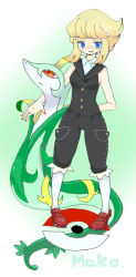 creatures_(company) game_freak gen_5_pokemon mako_(pokemon) nintendo pokemon pokemon_(creature) serperior tagme