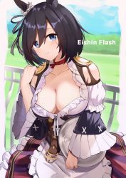 Rule 34 | 1girl, animal ears, black hair, blue eyes, blue sky, breasts, brown corset, character name, choker, cleavage, collarbone, commentary request, corset, day, detached sleeves, dirndl, eishin flash (umamusume), german clothes, hair ornament, highres, holding, holding plate, horse ears, horse girl, large breasts, light smile, looking at viewer, outdoors, plate, purple skirt, red choker, short hair, skirt, sky, solo, umamusume, wide sleeves, ya.yu.