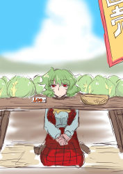 Rule 34 | 1girl, absurdres, basket, blue sky, blurry, burijittou, cabbage, camouflage, cloud, cloudy sky, day, depth of field, eyebrows, eyelashes, field, flag, floor, green hair, highres, kazami yuuka, lettuce, long sleeves, mountain, on ground, outdoors, price tag, red eyes, seiza, shoes, short hair, sitting, sketch, skirt, sky, table, touhou