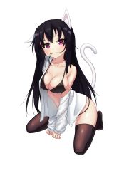 Rule 34 | 1girl, animal ear fluff, animal ears, black hair, black thighhighs, blouse, breasts, broom (artist), cat ears, cat tail, cleavage, closed mouth, full body, hair in own mouth, highres, kneeling, long hair, looking at viewer, medium breasts, no pants, noihara himari, omamori himari, open clothes, open shirt, purple eyes, shirt, simple background, solo, tail, thighhighs, transparent background, very long hair, white background, white shirt