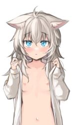 Rule 34 | 1girl, animal ear fluff, animal ears, blue eyes, breasts, ears down, female focus, highres, long hair, long sleeves, looking at viewer, lossy-lossless, md5 mismatch, minamura haruki, navel, nipples, no bra, open clothes, open shirt, original, shirt, sketch, small breasts, solo, stomach, webp-to-png conversion, white background, white shirt, wolf ears, wolf girl