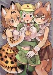 Rule 34 | 3girls, :3, :p, absurdres, animal ears, animal print, arm between breasts, assertive female, assisted exposure, bare arms, bare shoulders, between breasts, black eyes, blonde hair, blush, bow, bowtie, breast pocket, breasts, brown eyes, brown hair, brown skirt, brown thighhighs, clothes pull, commentary request, crossover, dhole (kemono friends), dog ears, dog girl, dog tail, elbow gloves, extra ears, from above, gloves, grabbing, grabbing another&#039;s breast, green gloves, green hair, green panties, green shirt, green shorts, green thighhighs, hair between eyes, hand on another&#039;s chest, hat, high-waist skirt, highres, igarashi (nogiheta), kemono friends, kemono friends 3, keroro (kemono friends), keroro gunsou, large breasts, looking at another, lying, medium breasts, medium hair, midriff, miniskirt, multicolored hair, multiple girls, naughty face, navel, nervous, nose blush, on back, open clothes, open mouth, open shirt, panties, pocket, print bow, print bowtie, print gloves, print skirt, pulling another&#039;s clothes, scarf, serval (kemono friends), serval print, shirt, shirt under shirt, short shorts, short sleeves, shorts, shorts pull, side-by-side, skirt, sleeveless, sleeveless shirt, smile, star (symbol), stomach, sweat, tail, thighhighs, tongue, tongue out, two-tone hair, unaligned breasts, underwear, v-shaped eyebrows, white hair, wide-eyed, yuri