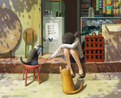 Rule 34 | 1girl, black hair, bug, butterfly, cat, chalk, g tong, head rest, bug, jacket, sandals, shop, side ponytail, sitting, solo, sulking, writing
