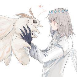 Rule 34 | 1boy, amdamnet, animal, arthropod boy, black skin, blue eyes, blush, bug, closed mouth, colored skin, crown, fate/grand order, fate (series), frills, grey background, grey hair, heart, highres, holding, holding animal, insect, insect wings, looking at animal, medium hair, moth, oberon (fate), oberon (third ascension) (fate), simple background, spoilers, wings