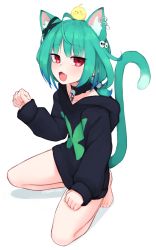 Rule 34 | :3, animal, animal ears, animal on head, bare legs, barefoot, bird, bird on head, black choker, black hoodie, blue hair, cat ears, cat girl, cat tail, chain, chick, choker, commentary, earrings, english commentary, fang, gradient hair, green hair, hand up, highres, hololive, hood, hood down, hoodie, jewelry, kneeling, long sleeves, looking at viewer, low twintails, multicolored hair, on head, open mouth, paw pose, print hoodie, red eyes, simple background, solo, tail, tiptoes, twintails, twitter username, two-tone hair, uruha rushia, virtual youtuber, white background, yoako