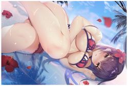 Rule 34 | 1girl, alternate costume, bikini, blue sky, blush, breasts, cleavage, cloud, cloudy sky, commentary request, day, fate/grand order, fate (series), flower, flower on water, hair flower, hair intakes, hair ornament, hibiscus, highres, large breasts, bridal garter, nayuta (una), outdoors, palm tree, parted lips, partially submerged, pink bikini, purple bikini, purple hair, red eyes, scathach (fate), scathach (fate), scathach (swimsuit assassin) (fate), sky, solo, swimsuit, tree