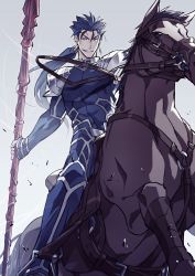 Rule 34 | 1boy, abs, animal, armor, beads, blue hair, bodysuit, cu chulainn (fate), earrings, fate/stay night, fate (series), gae bolg (fate), grey background, grin, hair beads, hair ornament, holding, holding weapon, horse, horseback riding, jewelry, kon manatsu, cu chulainn (fate/stay night), long hair, looking at viewer, male focus, muscular, pauldrons, pectorals, polearm, ponytail, red eyes, reins, riding, saddle, shoulder armor, simple background, skin tight, smile, solo, spiked hair, weapon