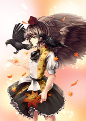 Rule 34 | 1girl, autumn leaves, bad id, bad pixiv id, bird, black skirt, black wings, brown hair, crow, expressionless, hand fan, feathered wings, frilled skirt, frills, hand up, hat, leaf print, leaf print, light particles, ookashippo, pink background, shameimaru aya, shirt, short hair, short sleeves, skirt, solo, thighs, tokin hat, touhou, white shirt, wings