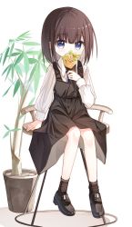 Rule 34 | 1girl, black dress, black footwear, black hair, black socks, blue eyes, blue necktie, collared shirt, commentary request, covered mouth, crepe, dress, food, full body, holding, holding food, loafers, long sleeves, looking at viewer, necktie, original, plant, potted plant, puffy long sleeves, puffy sleeves, shirt, shoes, sitting, sleeveless, sleeveless dress, socks, solo, stool, white background, white shirt, yuuhagi (amaretto-no-natsu)