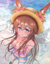 Rule 34 | 1girl, amiya (arknights), animal ears, arknights, atychi, beach, blue eyes, blush, breasts, brown hair, camisole, cleavage, flower, from above, hair between eyes, hat, hat flower, hat ribbon, long hair, looking at viewer, rabbit ears, ribbon, sandals, short shorts, shorts, sleeveless, solo, standing
