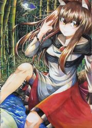 Rule 34 | 1girl, 283win, acrylic paint (medium), animal ears, bamboo, bamboo forest, brown eyes, brown hair, closed mouth, dress, forest, imaizumi kagerou, looking at viewer, nail polish, nature, outdoors, painting (medium), red dress, shikishi, smile, solo, tail, touhou, traditional media, two-tone dress, white dress, wolf ears, wolf girl, wolf tail