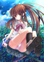 Rule 34 | 1girl, ass, bow, chain-link fence, fence, from below, hair ornament, legs, little busters!, long hair, natsume rin, panties, pink bow, ponytail, school uniform, skirt, solo, underwear, upskirt, very long hair, xephonia